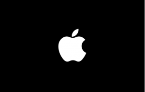 Apple Logo Startbildschirm