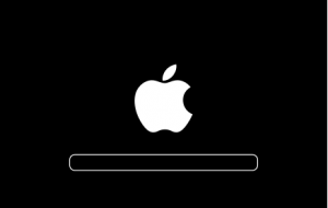 Mac Startbildschirm Statusanzeige
